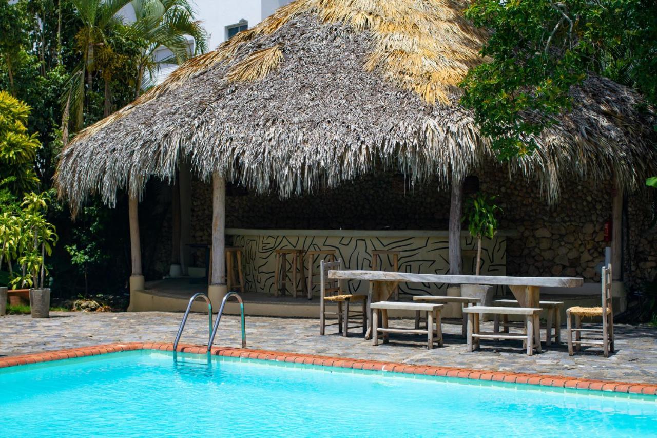 Afreeka Beach Hotel Las Terrenas Dış mekan fotoğraf