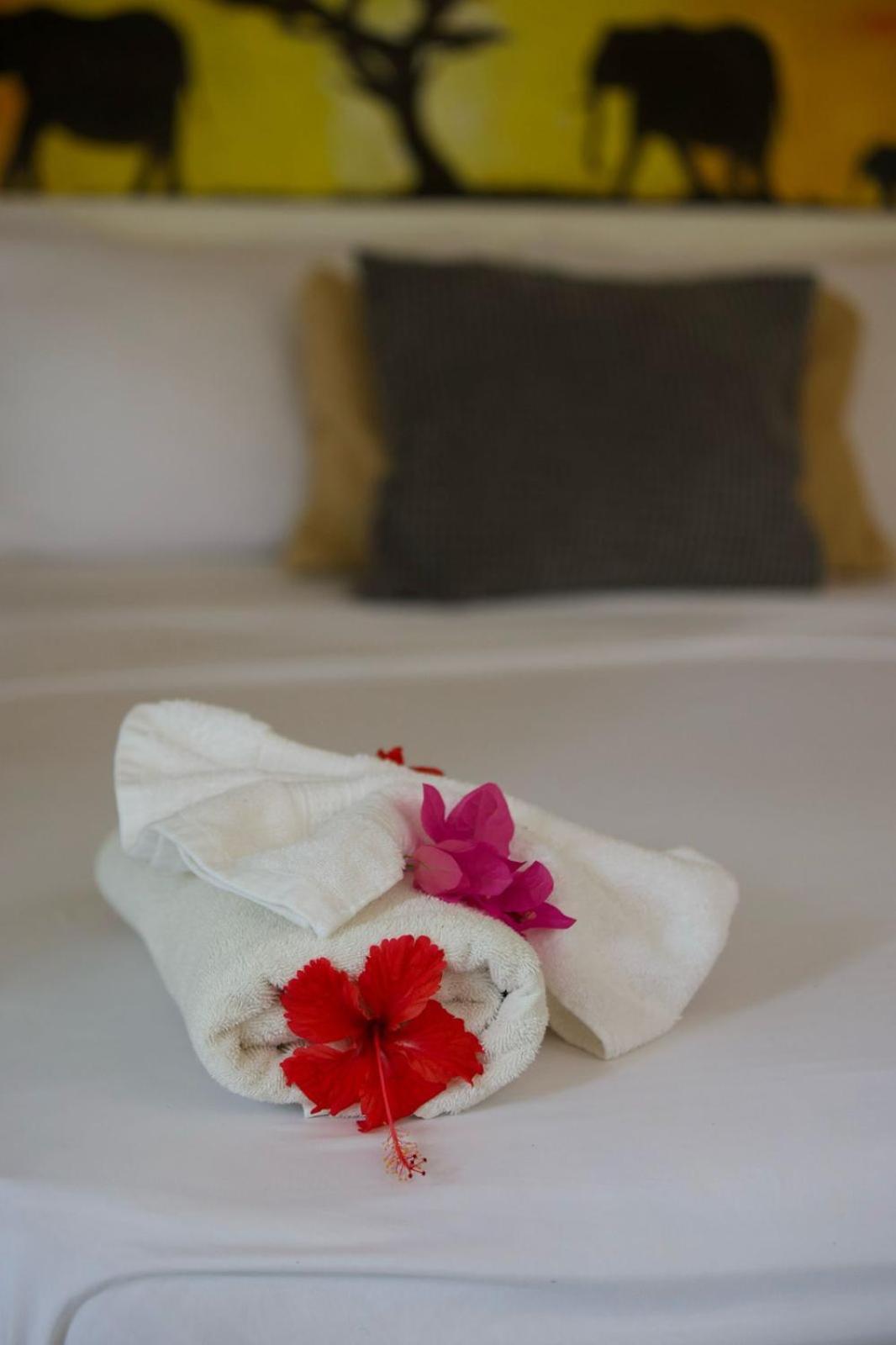 Afreeka Beach Hotel Las Terrenas Dış mekan fotoğraf
